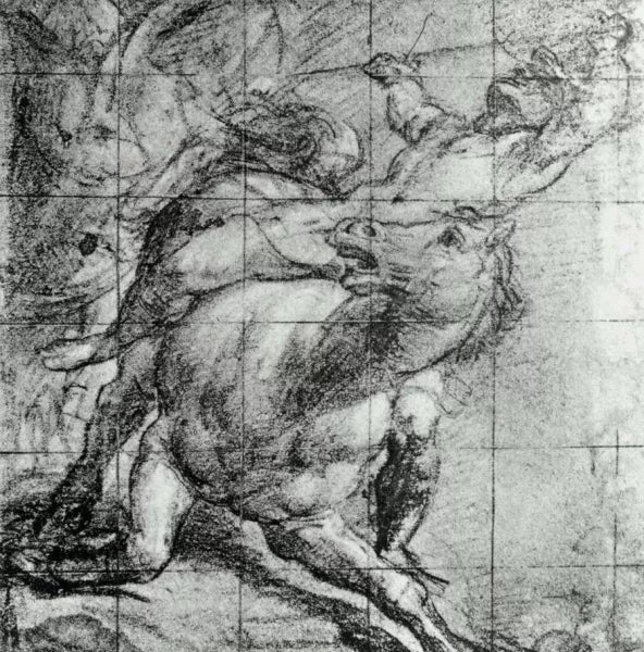 Horse and Rider