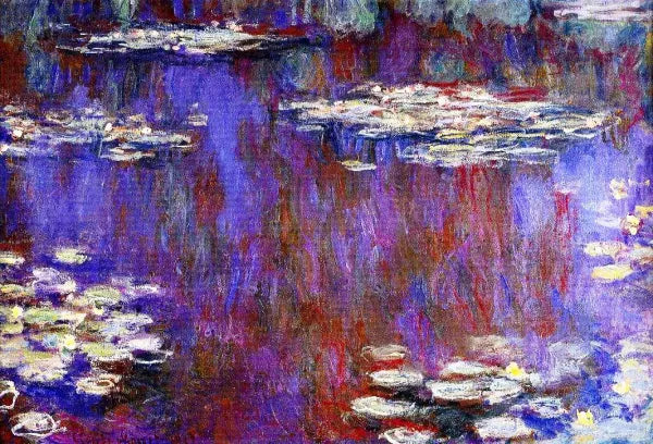Water-Lilies 48