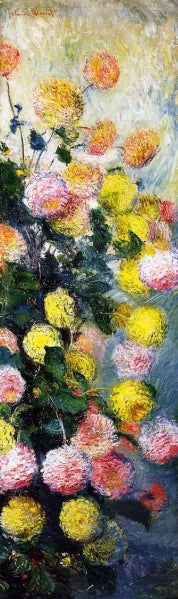 Dahlias II