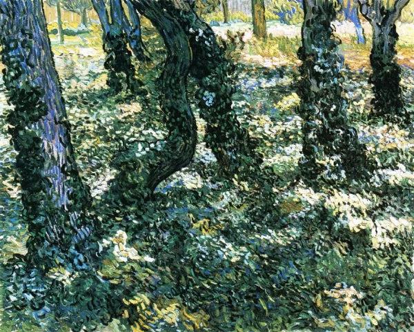Undergrowth