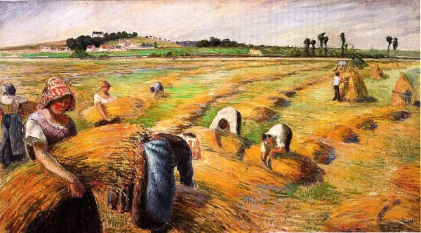 The Harvest II