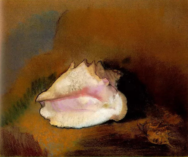 La Coquille The Seashell