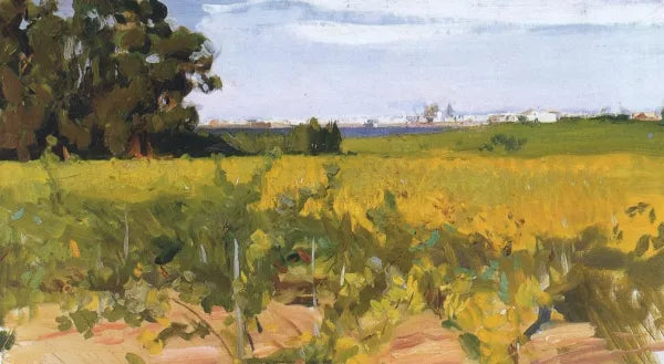 Outskirts of Seville