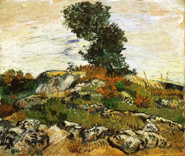 Rocks with Oak Tree