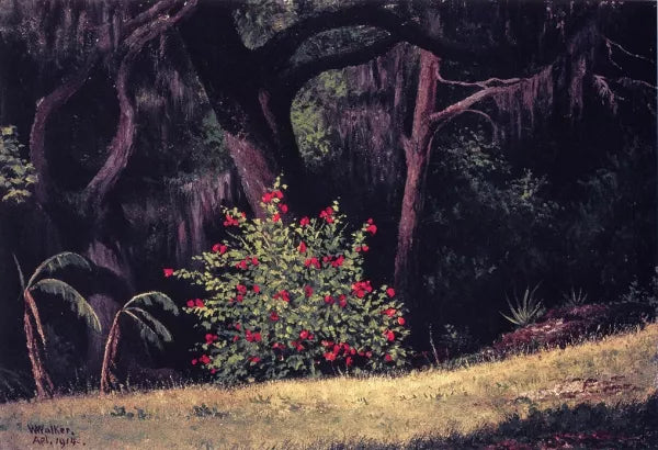 Fields, Trees and Plants