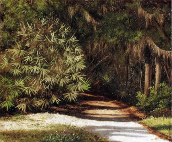 Forests