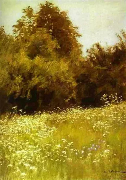 Meadow on the Edge of a Forest