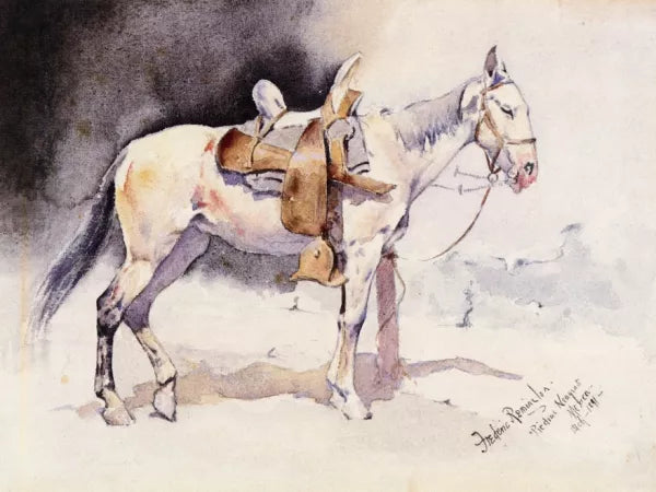 Horse-Equetrian