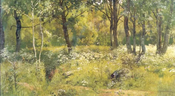 Grassy glades of the forest (etude)