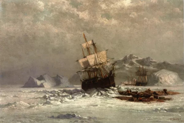 Locked in Ice