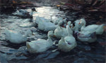 No Frame (Rolled in a Tube)