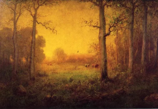 Rural Landscape