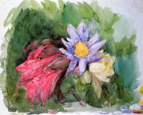 Water Lilies and Hibiscus