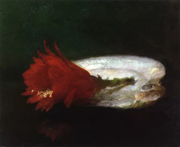 Shell and Flower