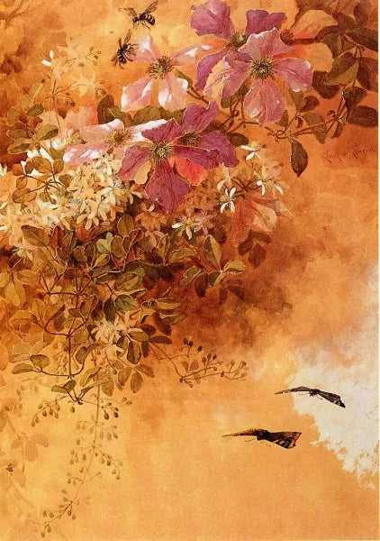 Flowers and Insects
