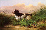No Frame (Rolled in a Tube)