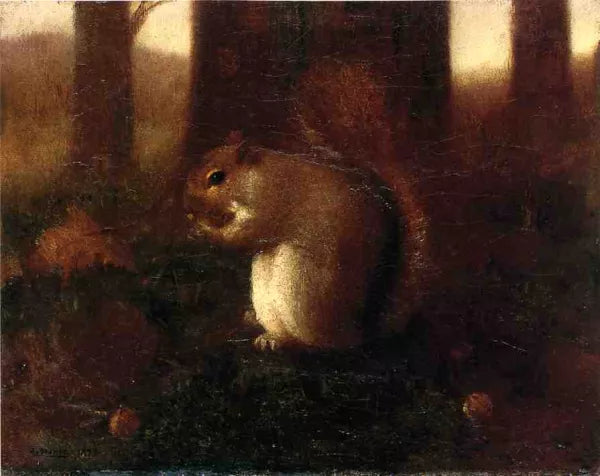 Collecting Nuts