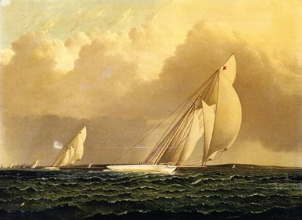 Yacht Race in New York Harbor