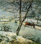 No Frame (Rolled in a Tube)