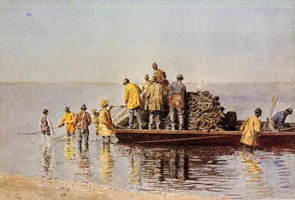 Taking Up the Net