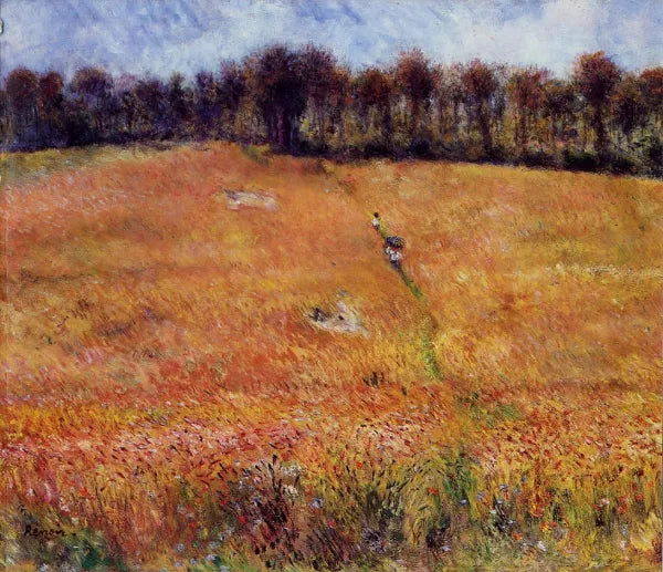 Path Through the High Grass