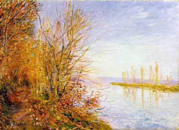 The Chemin de By through Woods at Rouches-Courtaut, St. Martin's, Summer