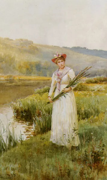 Across the Meadow