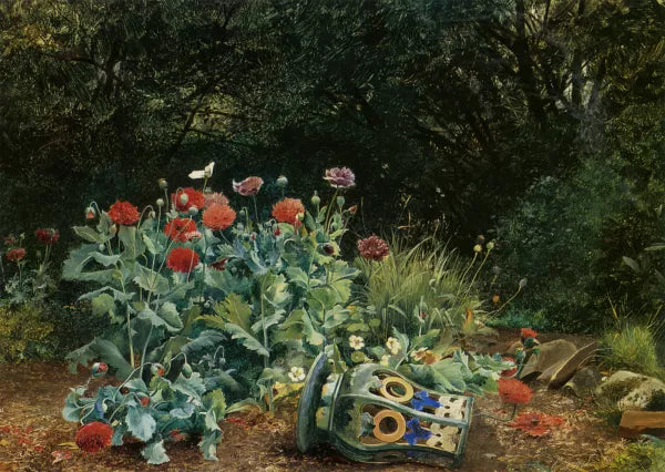 Summer Flowers in a Quiet Corner of the Garden