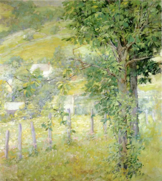Hillside in Summer