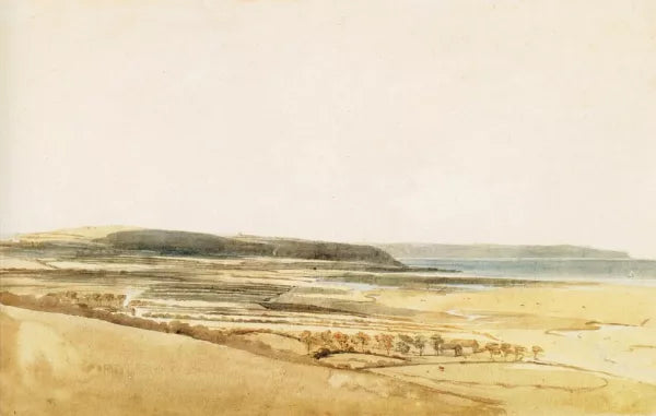 The Taw Estuary, Devon