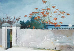 No Frame (Rolled in a Tube)