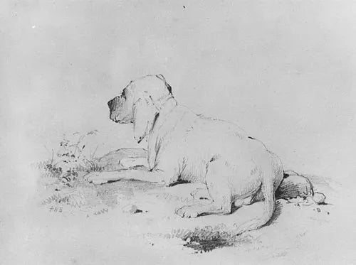 Dog from McGuire Scrapbook