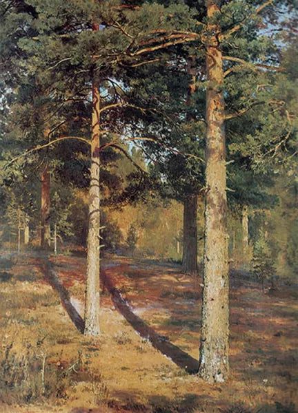 The Sun-lit Pines
