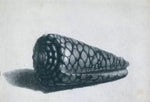 No Frame (Rolled in a Tube)