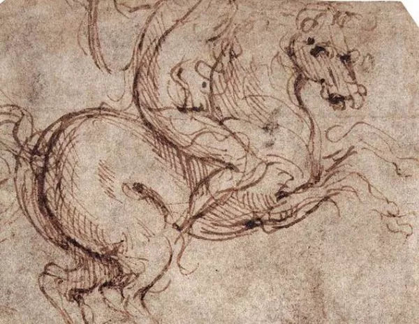 Study of a Rider