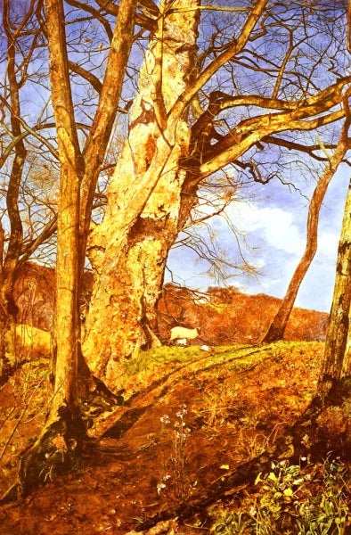 A Study In March In Early Spring