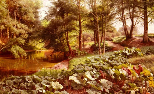 The Path On The River's Edge
