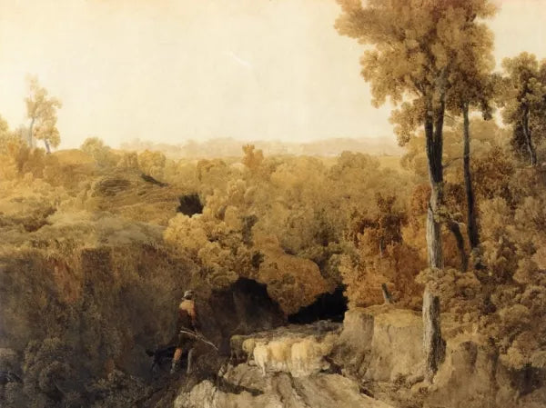 In the Forest of Wychwood