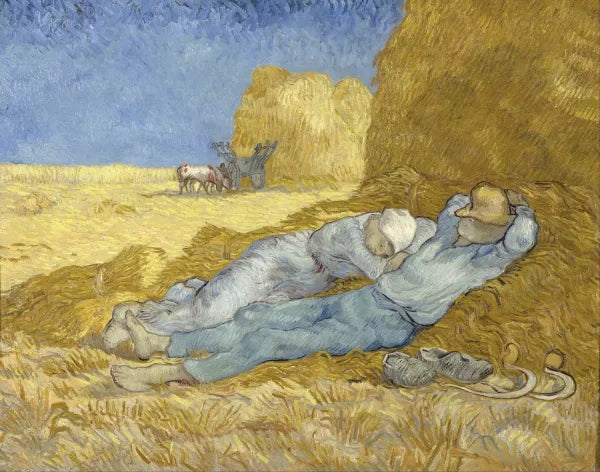 The Siesta
