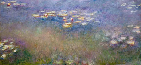 Water Lilies