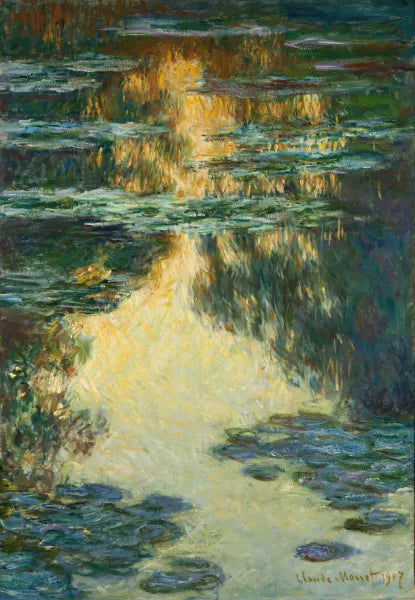 Water Lilies