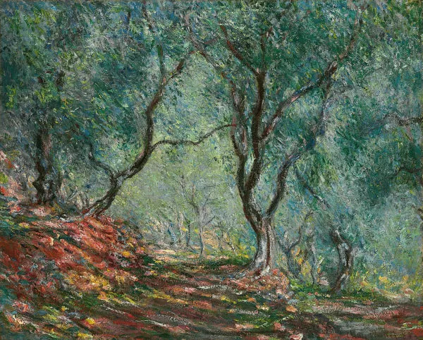 Bois d'oliviers au jardin Moreno