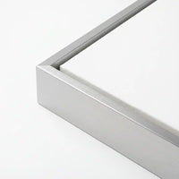 Matte Silver (LB3506)